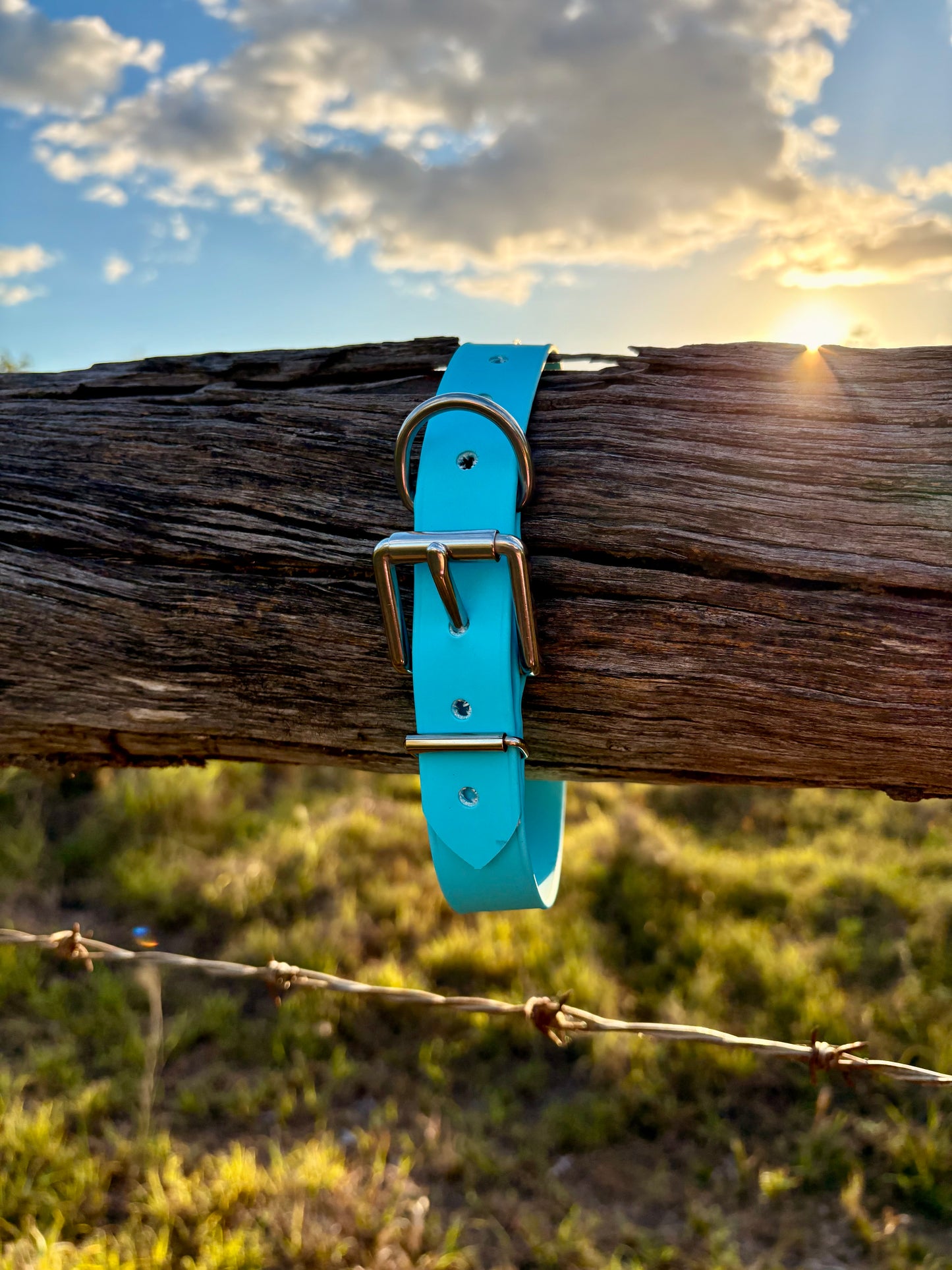 Biothane Beta Pastel Blue Dog Collar