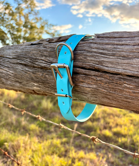 Biothane Beta Pastel Blue Dog Collar