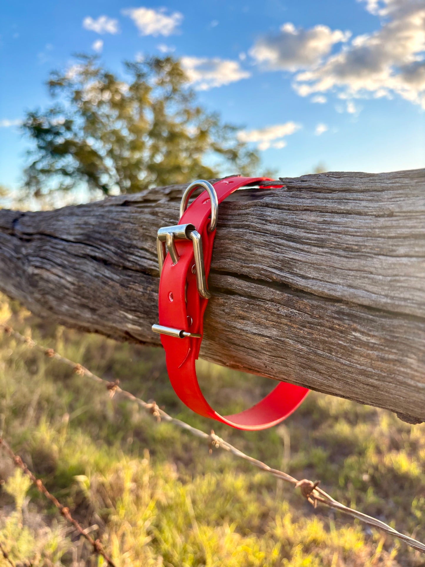 Biothane Beta Red Dog Collar