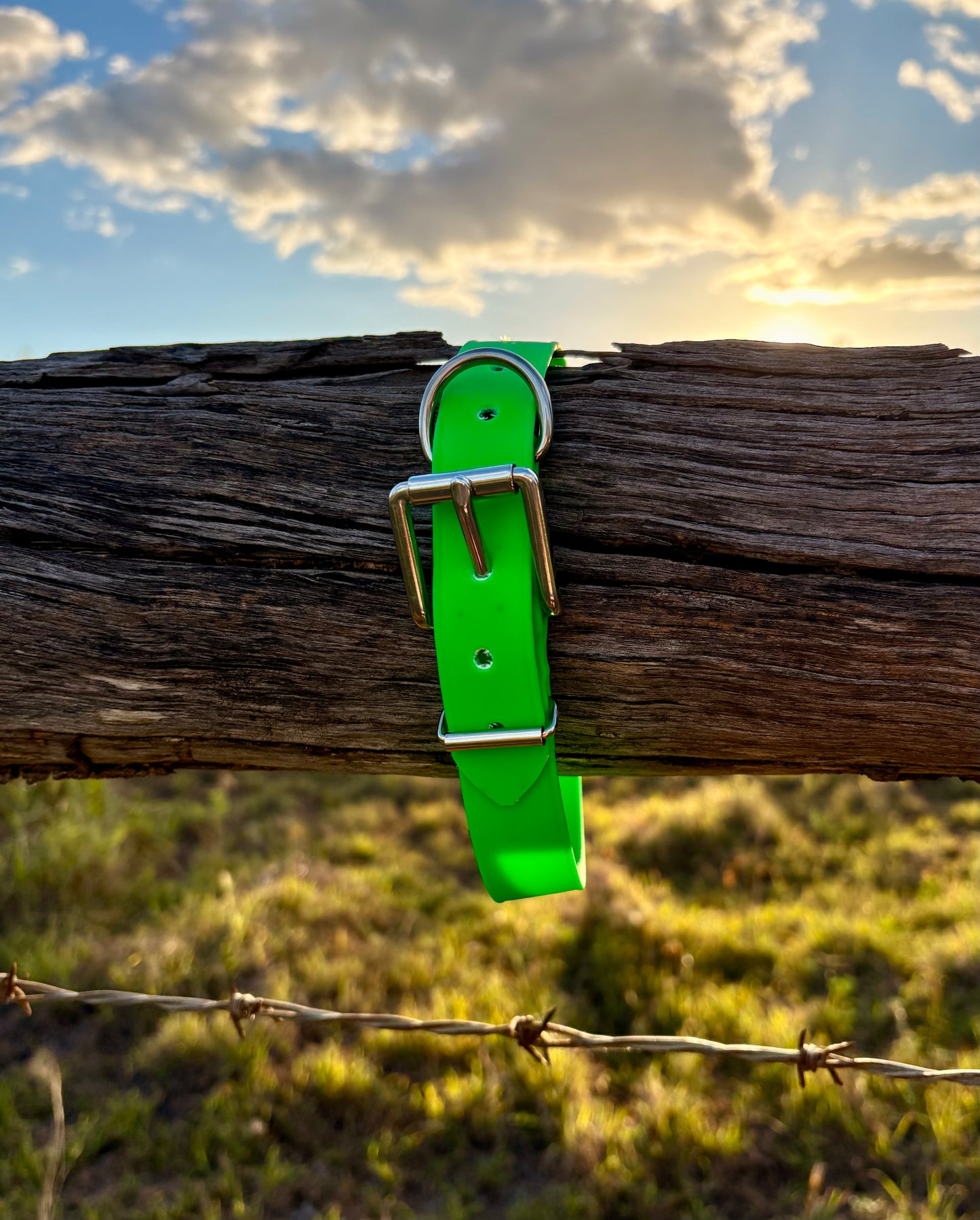 Biothane Beta Fluro Green Dog Collar