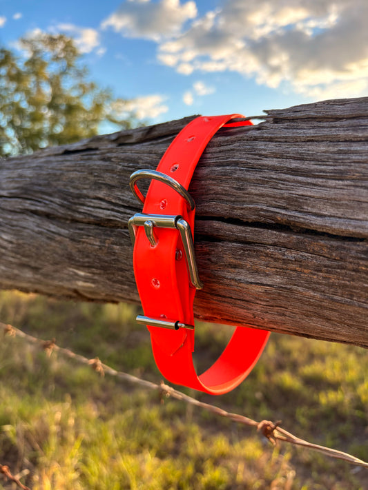 Biothane Beta Fluro Orange Dog Collar