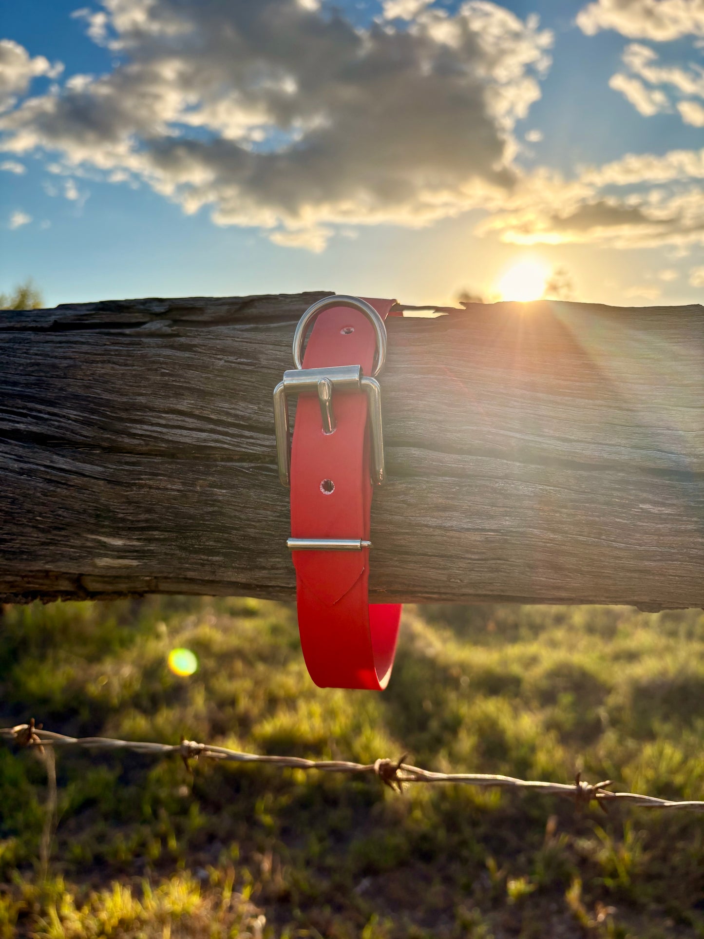 Biothane Beta Red Dog Collar