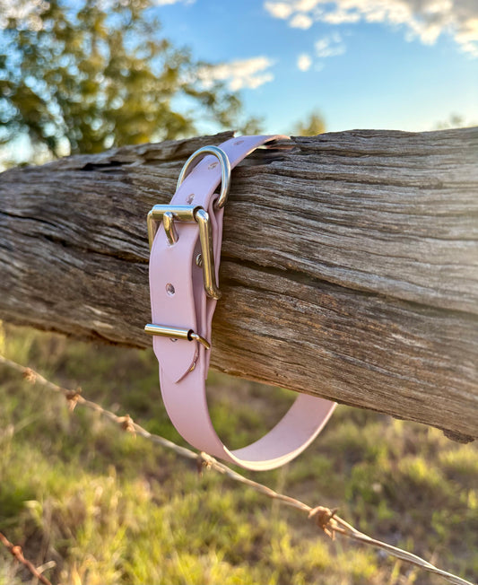 Biothane Beta Pastel Purple Dog Collar