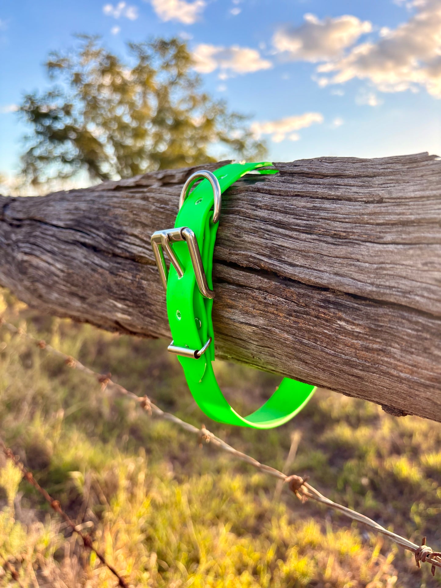 Biothane Beta Fluro Green Dog Collar