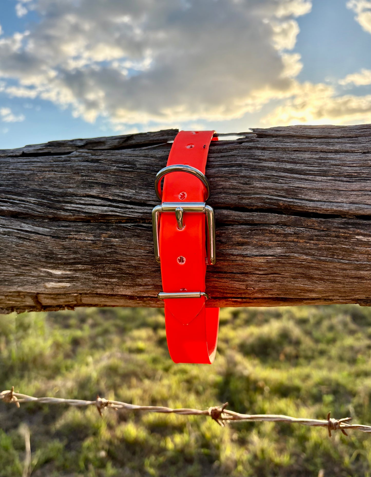 Biothane Beta Fluro Orange Dog Collar